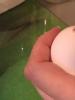 Как украсить яйца на пасху своими руками Украшение пасхальных яиц своими руками для детей